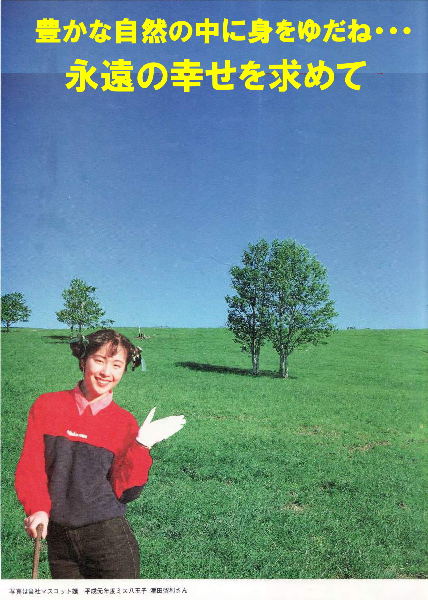 大日建設　リゾート開発